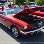 The Big Three Shine at the Woodward Dream Cruise