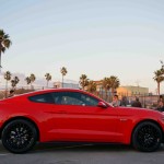 Community Reacts to 2015 Ford Mustang