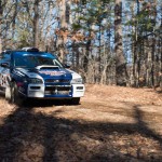 Riding The 100 Acre Wood