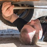 Riding The 100 Acre Wood