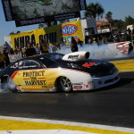 [GALLERY] NHRA Amalie Gatornationals