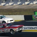 [GALLERY] NHRA Amalie Gatornationals