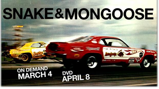 Snake And Mongoose Race Home On Dvd And Digital Download Racingjunk News