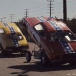Snake & Mongoose Race Home on DVD and Digital Download