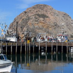 Road Trip on California's Legendary Highway 1