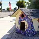Road Trip on California's Legendary Highway 1