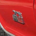 The Meanest Cat of Them All Needs a New Home