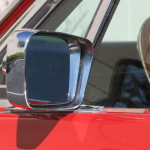 The Meanest Cat of Them All Needs a New Home