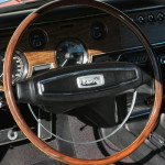 The Meanest Cat of Them All Needs a New Home