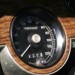 The Meanest Cat of Them All Needs a New Home