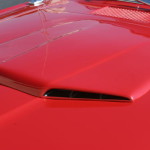 The Meanest Cat of Them All Needs a New Home