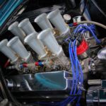 The Blue Mule