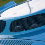 The Blue Mule