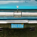 The Blue Mule