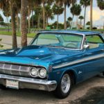 The Blue Mule