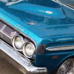 The Blue Mule