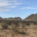 RebelleRally