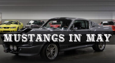Mustangs in May