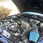 Vote: No Shows No Problem Best in Category - Modern Muscle