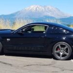 Vote: No Shows No Problem Best in Category - Modern Muscle