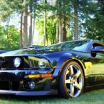 Vote: No Shows No Problem Best in Category - Modern Muscle