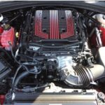 Vote: No Shows No Problem Best in Category - Modern Muscle