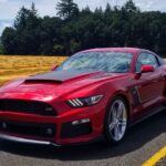 Vote: No Shows No Problem Best in Category - Modern Muscle