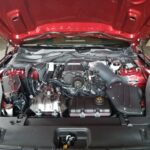Vote: No Shows No Problem Best in Category - Modern Muscle