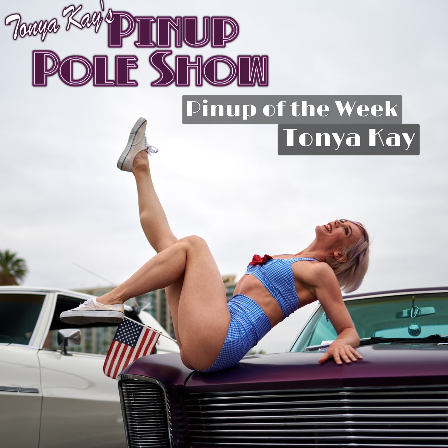 Pinup Pole Show Pinup of the Week: Tonya Kay and her 