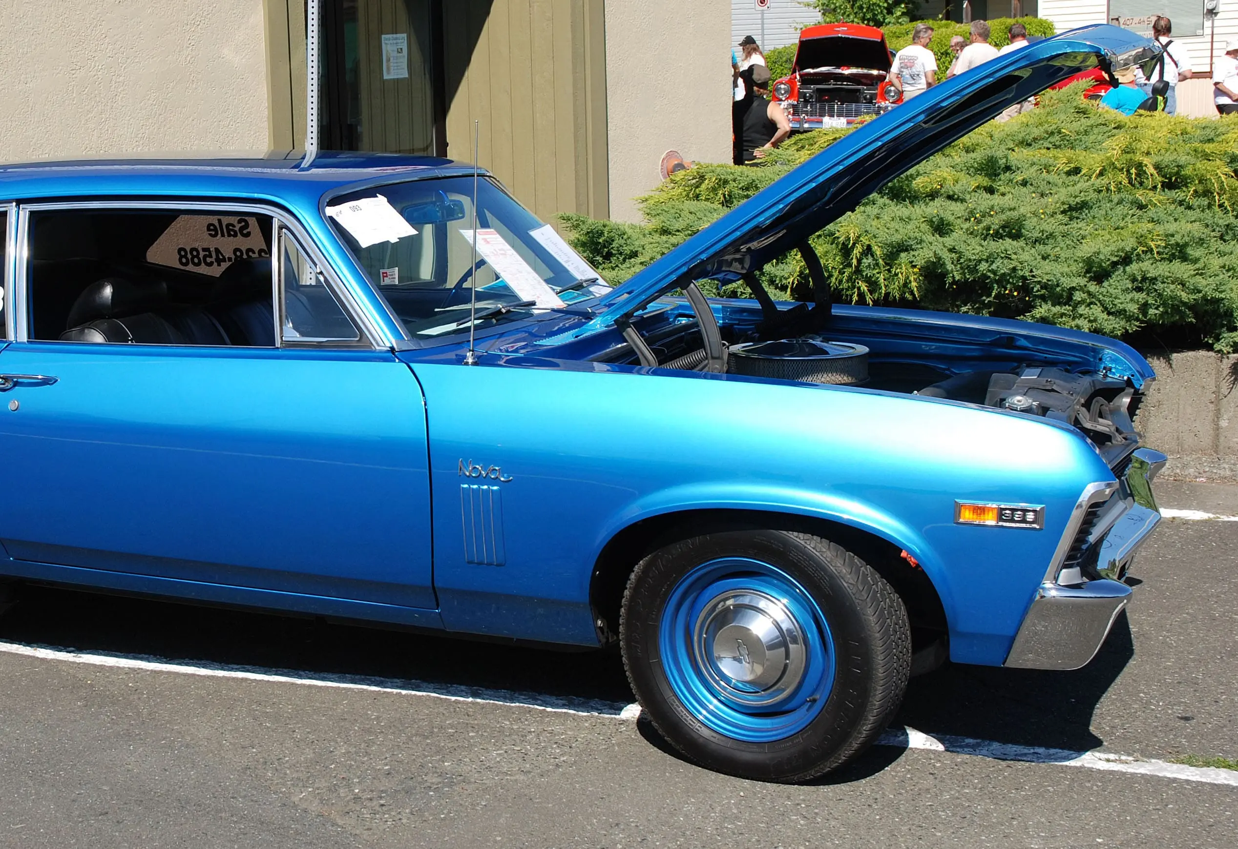 Body Piercing: Removing Some Of The Pain