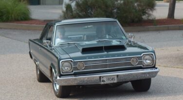 [Gallery] Nature’s Art Yesteryear Cruise